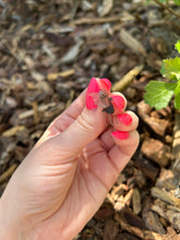 Load image into Gallery viewer, Skeleton Horse Magical Creature Fantasy Earrings