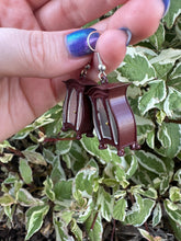 Load image into Gallery viewer, Ridiculous Cabinet Booktok Earrings