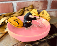 Load image into Gallery viewer, Treasure Finder/ Protector Jewelry Dishes in House Pride Colors