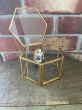 Load image into Gallery viewer, Sci Fi Fantasy Bird Ring Protector