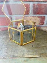 Load image into Gallery viewer, Sci Fi Fantasy Bird Ring Protector