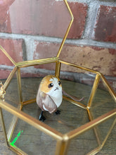 Load image into Gallery viewer, Sci Fi Fantasy Bird Ring Protector