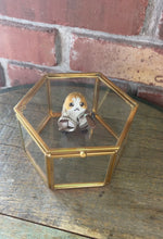 Load image into Gallery viewer, Sci Fi Fantasy Bird Ring Protector