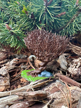 Load image into Gallery viewer, Thrashing Willow Miniature/ Wizarding Tree Figurine/ Bookshelf Decor/ Fantasy/ Nerd Gift/ Reading Prop/ Replica
