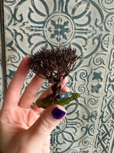Load image into Gallery viewer, Thrashing Willow Miniature and Mini Miniature Wolf: Fantasy Bookshelf Decor