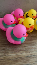 Load and play video in Gallery viewer, House Pride Rubber Ducks