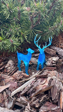 Load and play video in Gallery viewer, Stag and Doe Happiness Spell Set/ Protection Charm Miniature