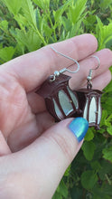Load and play video in Gallery viewer, Ridiculous Cabinet Booktok Earrings