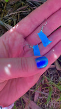 Load and play video in Gallery viewer, Cat Lynx Happiness Protection Spell Earrings