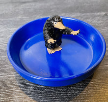 Load image into Gallery viewer, Treasure Finder/ Protector Jewelry Dishes in House Pride Colors