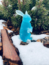 Load image into Gallery viewer, Bunny Happiness Protective Spell