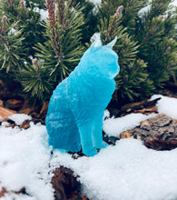 Load image into Gallery viewer, Cat Happiness Protective Spell