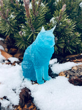 Load image into Gallery viewer, Cat Happiness Protective Spell