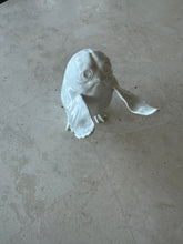 Load image into Gallery viewer, Paint Your Own Space Bird Ring Protector
