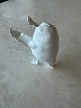 Load image into Gallery viewer, Paint Your Own Space Bird Ring Protector
