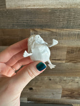 Load image into Gallery viewer, Paint Your Own Space Bird Ring Protector
