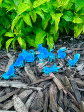 Load image into Gallery viewer, Happiness Spell Mini Miniatures Series 1: Blue Animal Super Small Knick Knacks
