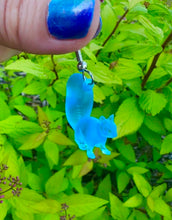 Load image into Gallery viewer, Squirrel Magical Happiness Protection Spell Earrings
