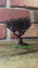 Load and play video in Gallery viewer, Thrashing Willow Miniature/ Wizarding Tree Figurine/ Bookshelf Decor/ Fantasy/ Nerd Gift/ Reading Prop/ Replica
