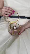 Load and play video in Gallery viewer, Sci Fi Fantasy Bird Ring Protector
